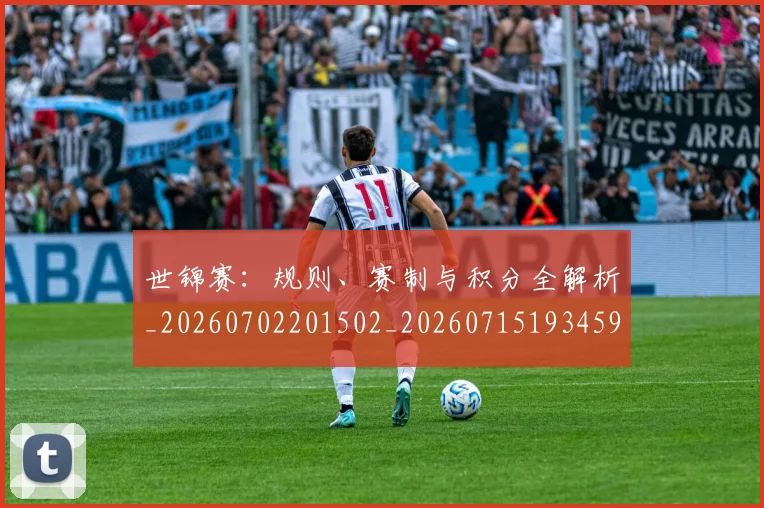 世锦赛:规则、赛制与积分全解析_20260702201502_20260715193459