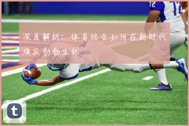 深度解析：体育协会如何在新时代焕发勃勃生机