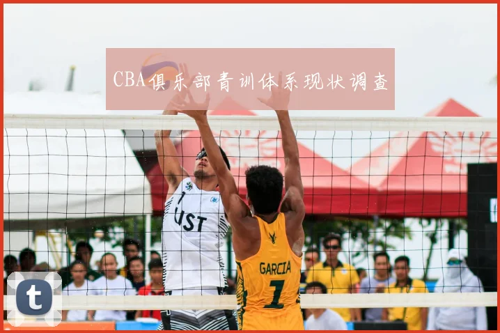 CBA俱乐部青训体系现状调查
