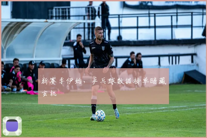 新赛季伊始,乒乓球数据榜单暗藏玄机